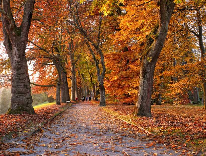 Otoño 2025